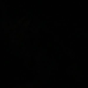 Meet your Posher, Phillip